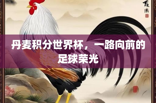 丹麦积分世界杯，一路向前的足球荣光