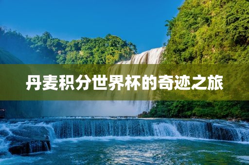丹麦积分世界杯的奇迹之旅沧州禾苗留学中介服务有限公司