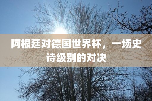 阿根廷对德国世界杯，一场史诗级别的对决沧州禾苗留学中介服务有限公司