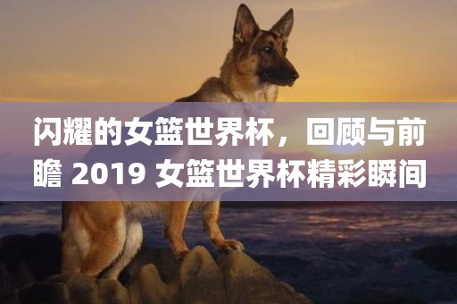 闪耀的女篮世界杯，回顾与前瞻 2019 女篮世界杯精彩瞬间