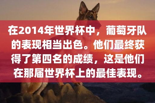 在2014年世界杯中，葡萄牙队的表现相当出色。他们最终获得了第四名的成绩，这是他们在那届世界杯上的最佳表现。