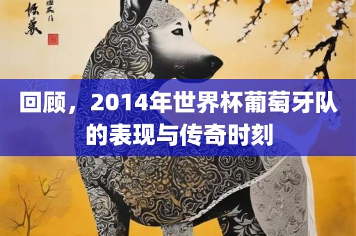 回顾，2014年世界杯葡萄牙队的表现与传奇时刻沧州禾苗留学中介服务有限公司