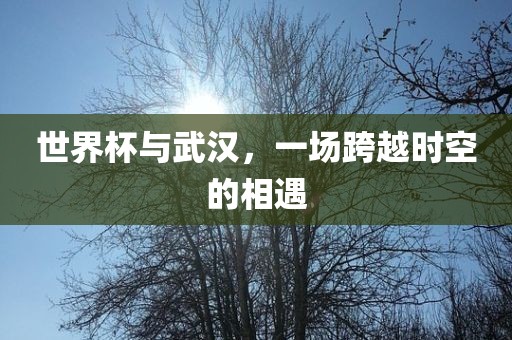 世界杯与武汉，一场跨越时空的相遇沧州禾苗留学中介服务有限公司