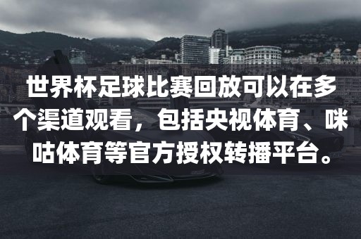 世界杯足球比赛回放可以在多个渠道观看，包括央视体育、咪咕体育等官方授权转播平台。沧州禾苗留学中介服务有限公司