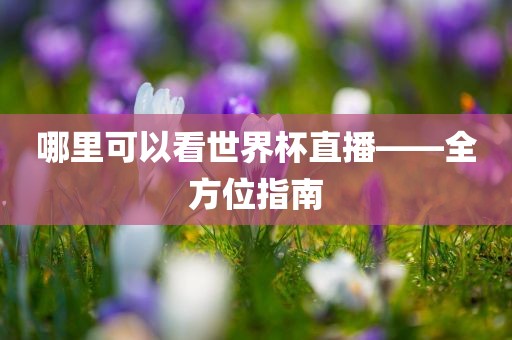 哪里可以看世界杯直播——全方位指南沧州禾苗留学中介服务有限公司