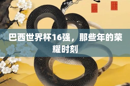 巴西世界杯16强，那些年的荣耀时刻沧州禾苗留学中介服务有限公司