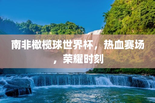 南非沧州禾苗留学中介服务有限公司橄榄球世界杯，热血赛场，荣耀时刻