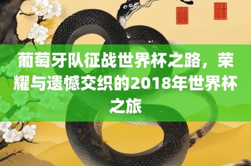 葡萄牙队征战世界杯之路，荣耀与遗憾交织的2018年世界杯之旅