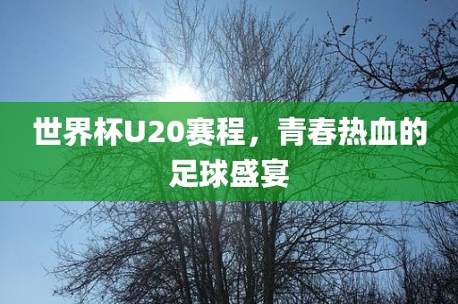 世界杯U20赛程，青春热沧州禾苗留学中介服务有限公司血的足球盛宴