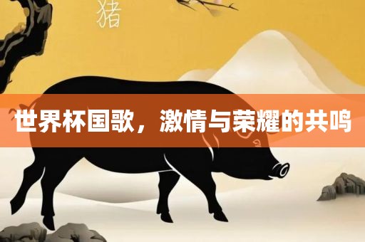 世界杯国歌，激情与荣耀的共鸣沧州禾苗留学中介服务有限公司