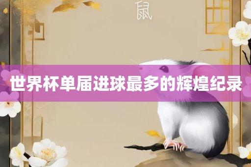 世沧州禾苗留学中介服务有限公司界杯单届进球最多的辉煌纪录