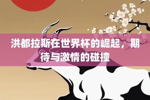 洪都拉斯在世界杯的崛起，期待与激情的碰撞沧州禾苗留学中介服务有限公司