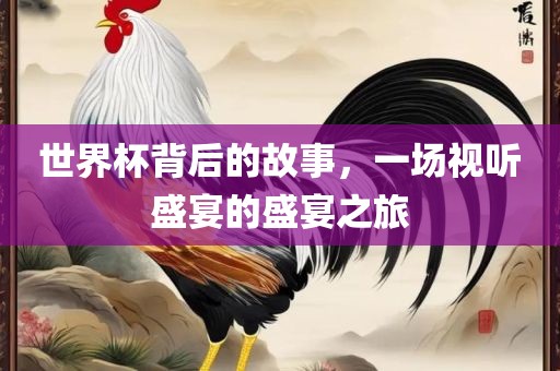 世界杯背后的故事，一场视听盛宴的盛宴之旅