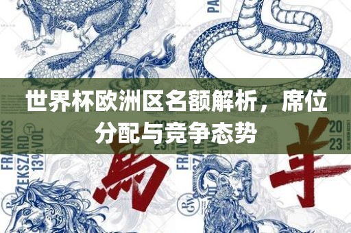 世界杯欧洲区名额解析，席位分配与竞争态势沧州禾苗留学中介服务有限公司