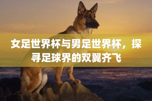 女足世界杯与男足世界杯，探寻足球界的双翼齐飞