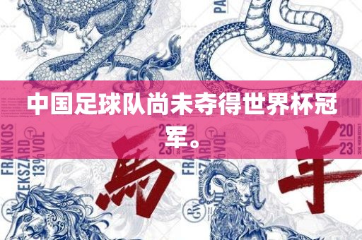 中国足球队尚未夺得世界杯冠军。