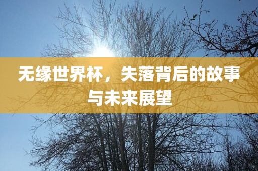 无缘世界杯，失落背后的故事与未来展望沧州禾苗留学中介服务有限公司