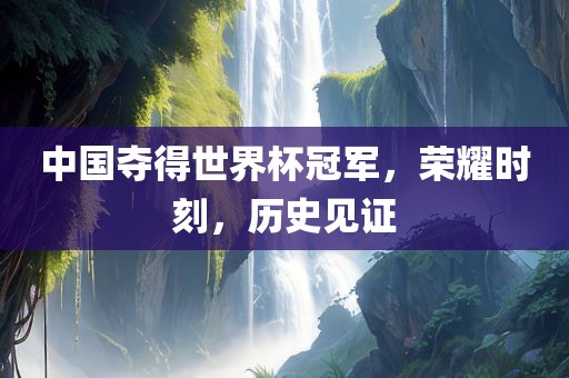 中国夺得世界杯冠军，荣耀时刻，历史见证