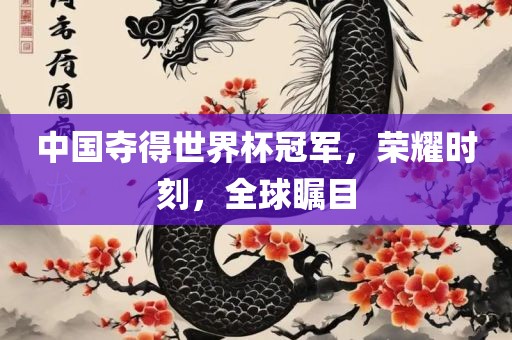 中国夺得世界杯冠军，荣耀沧州禾苗留学中介服务有限公司时刻，全球瞩目