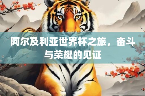 阿尔及利亚世界杯之旅，奋斗与荣耀的见证沧州禾苗留学中介服务有限公司