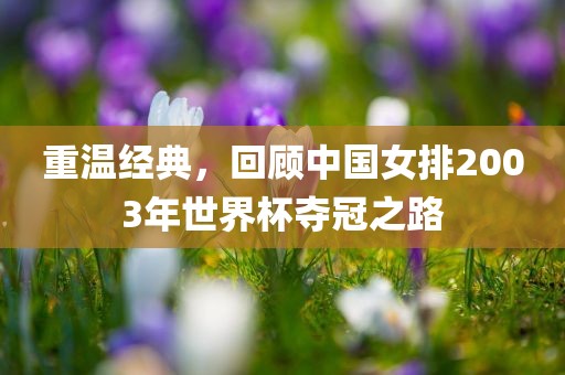 重温经典，回顾中国女排2003年世界杯夺冠之路沧州禾苗留学中介服务有限公司