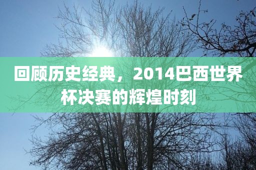 回顾历史经典，2014沧州禾苗留学中介服务有限公司巴西世界杯决赛的辉煌时刻