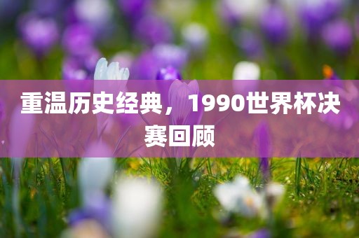 重温历史经典，1990世界杯决赛回顾沧州禾苗留学中介服务有限公司