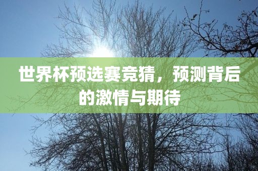 世界杯预选赛竞猜，预测背后的激情与期待沧州禾苗留学中介服务有限公司