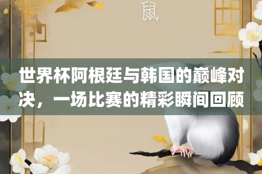 世界杯阿根廷与沧州禾苗留学中介服务有限公司韩国的巅峰对决，一场比赛的精彩瞬间回顾