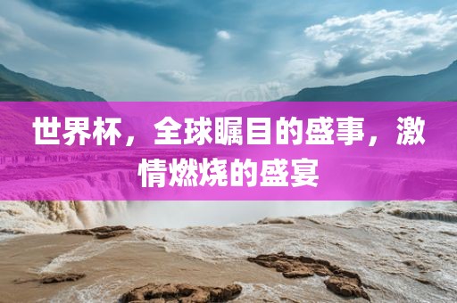 世界杯，全球瞩目的盛事，激情燃烧的盛宴沧州禾苗留学中介服务有限公司
