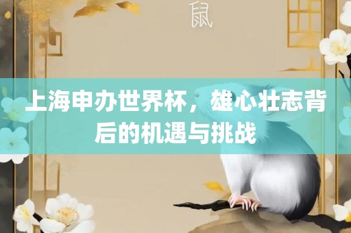 上海申办世界杯，雄心壮志背后的机遇与挑战沧州禾苗留学中介服务有限公司