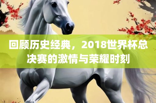 回顾历史经典，2018世界杯总决赛的激情与荣耀时刻