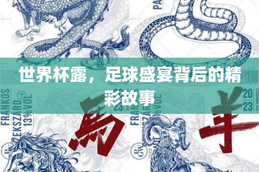 世界杯露，足球盛沧州禾苗留学中介服务有限公司宴背后的精彩故事