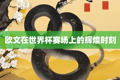 欧文在世界杯赛场上的辉煌时刻