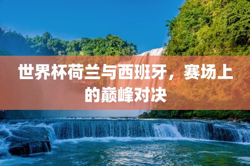 世界杯荷兰与西班牙，赛场上的巅峰对决沧州禾苗留学中介服务有限公司