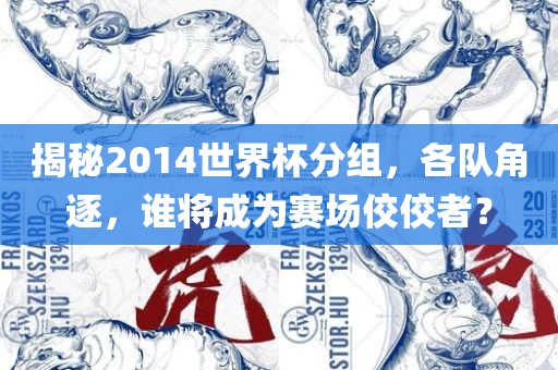 揭秘2014世界杯分组，各队角逐，谁将成为赛场佼佼者？