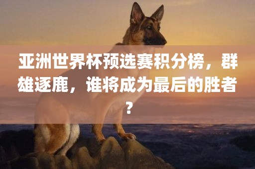 亚洲世界杯预选赛积分榜，群雄逐鹿，谁将成为最后的胜者？