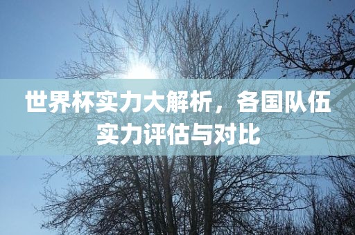世界杯实力大解析，各国队伍实力评估与对比沧州禾苗留学中介服务有限公司