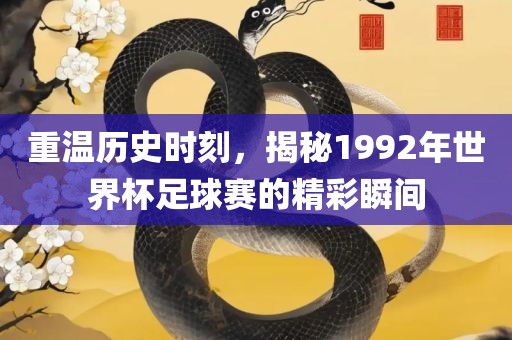 重温历史时刻，揭秘1992年世界杯足球赛的精彩瞬间沧州禾苗留学中介服务有限公司