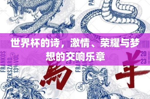 世界杯的诗，激情、荣耀与梦想的交响乐章沧州禾苗留学中介服务有限公司