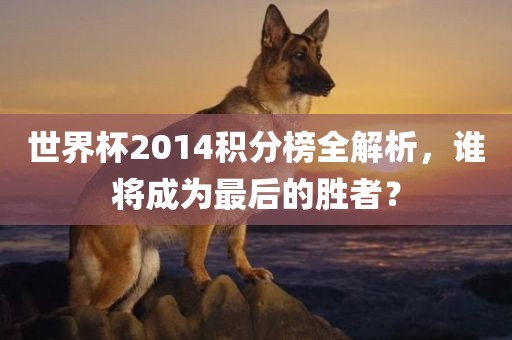 世界杯2014积分榜全解析，谁将成为最后的胜者？沧州禾苗留学中介服务有限公司