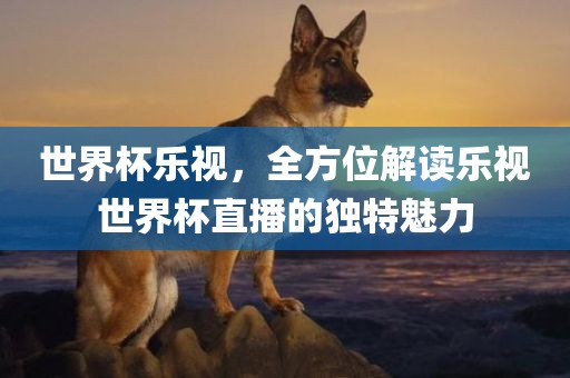 世界杯乐视，全方位解读乐视世界杯直播的独特魅力沧州禾苗留学中介服务有限公司