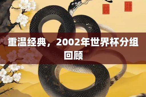 重温经典，2002年世界杯分组回顾