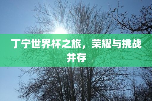 丁宁世界杯之旅，荣耀与挑战并存沧州禾苗留学中介服务有限公司
