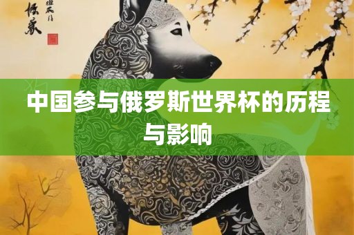 中国参与俄罗斯世界杯的历程与影响