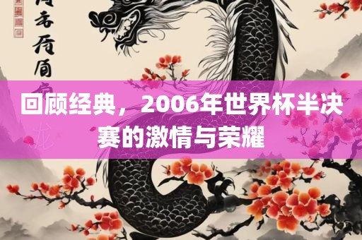 回顾经典，2006年世界杯半决赛的激情与沧州禾苗留学中介服务有限公司荣耀