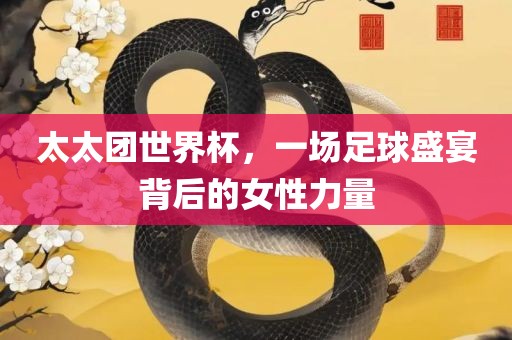 太太团世界杯，一场足球盛宴背后的女性力量沧州禾苗留学中介服务有限公司