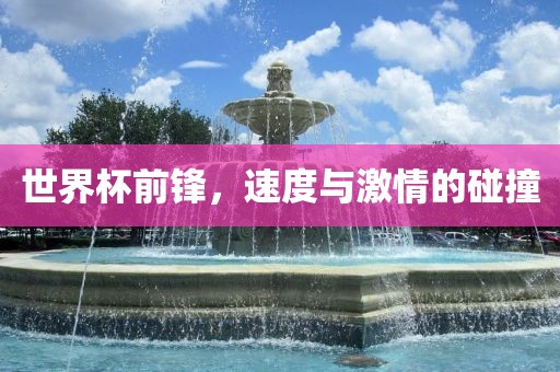 世界杯前锋，速度与激情的碰撞沧州禾苗留学中介服务有限公司