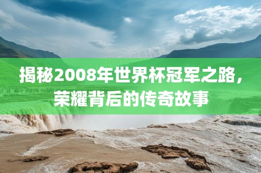揭秘2008年世界杯冠军之路，荣耀背后的传奇故事沧州禾苗留学中介服务有限公司
