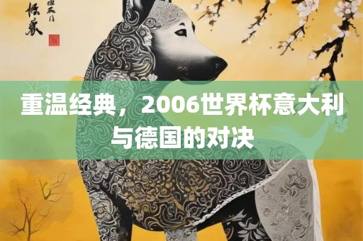 重温经典，2006世界杯意大利与德国的对决沧州禾苗留学中介服务有限公司